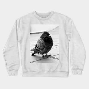 City bird Crewneck Sweatshirt